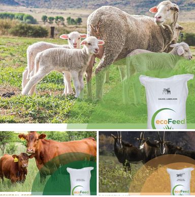 Ecofeed General Grass Supplement Feed Pellets 50kg