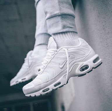 Nike air max plus mens shoes