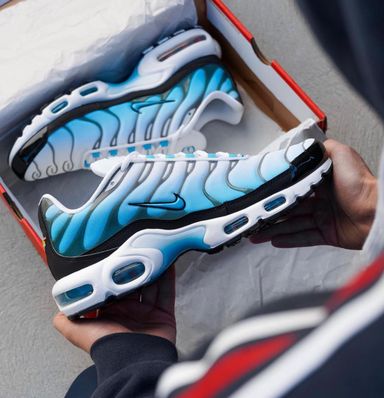 Nike air max plus mens shoes