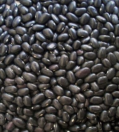 Black Beans