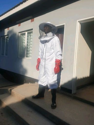 Bee suit