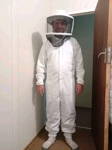 Bee suit