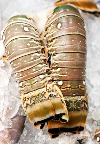 Lobster Tail (500g)