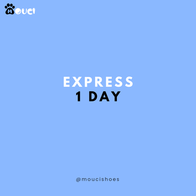 Express 1 Day