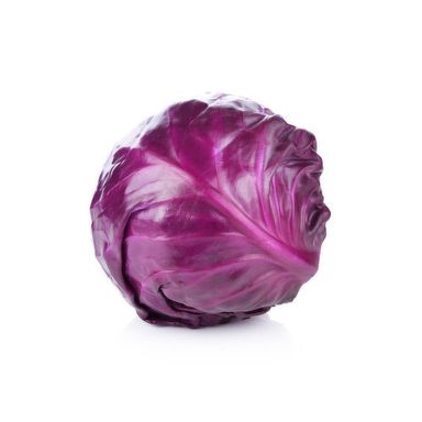 Cabbage (varieties)