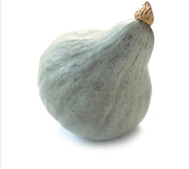 Squash Hubbard bag 