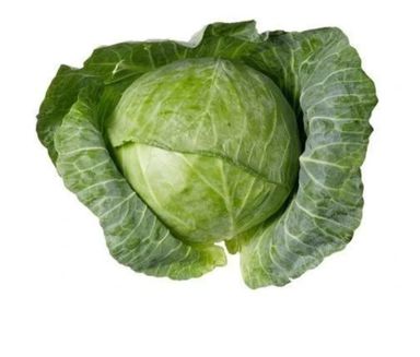 Cabbage (varieties)