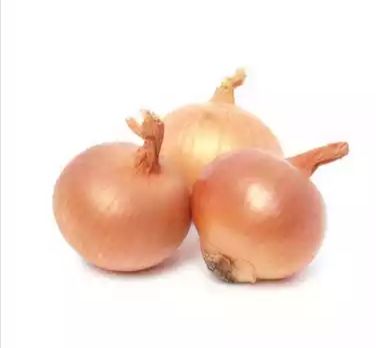 Onion