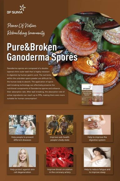 Pure and Broken Garnoderma Spore Capsules 