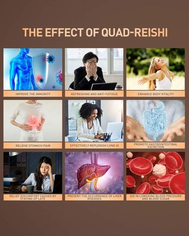 Quad Reishi capsules 