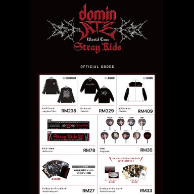 Stray Kids DominATE World Tour in Japan Merch