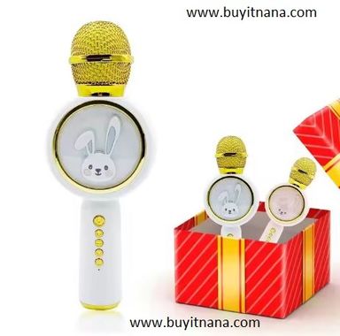 KARAOKE SPEAKER MICROPHONE (X6) 