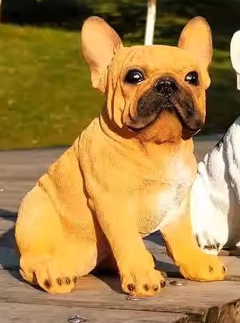 Hunting Lovely French Bulldog canine Dog BROWN