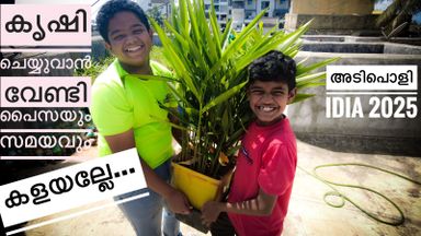 Self Watering Pots