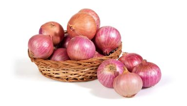 Onion (india)