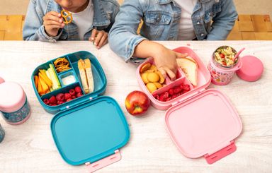 Stephen Joseph Bento Box with Removable Tray