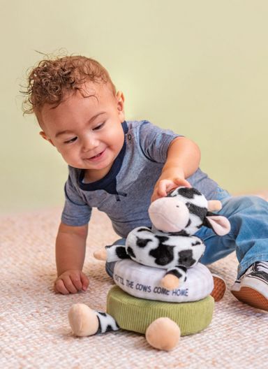 Stephen Joseph Plush Rattle Stacker