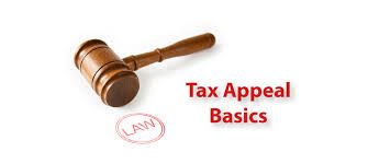 Tax Objectives and Appeal (Individuals)