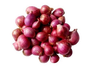 Shallot (Small onion)