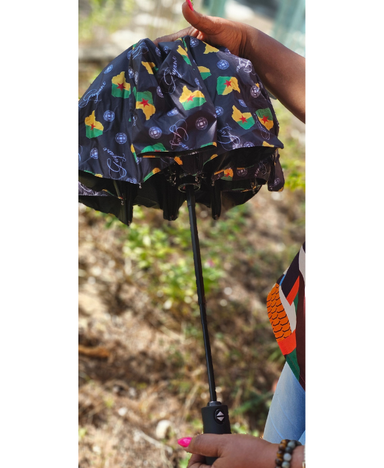 Parapluie parasol à ouverture et fermeture automatiques