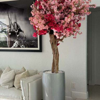 Pink cherry blossom tree in a glossy silver Lisbon planter 