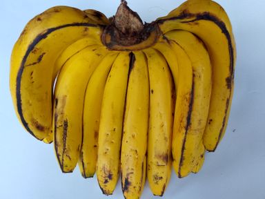 Bananas