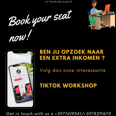 TikTok Workshop (Geld verdienen)