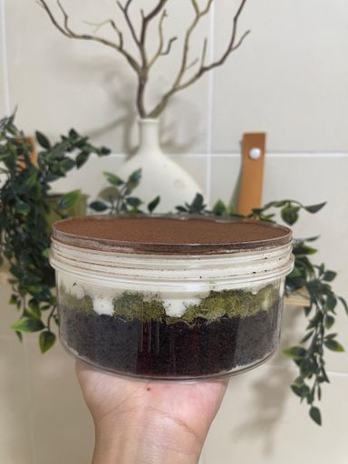 Pistachio Kunafa Dream Cake