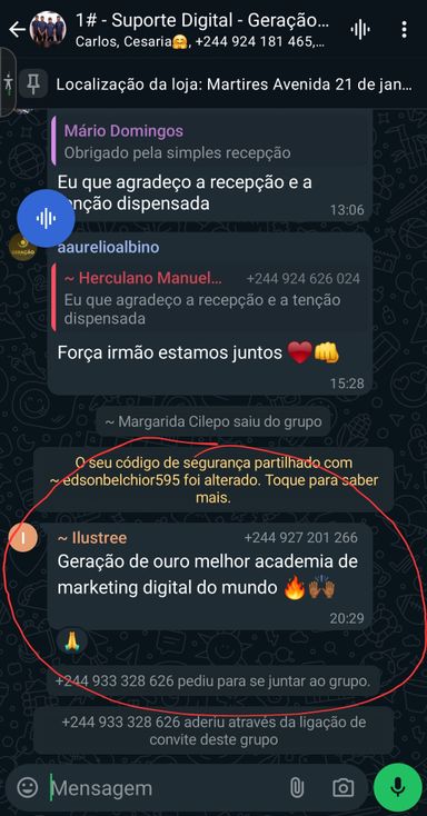  GERAÇÃO DE OURO ( MARKETING DIGITAL)