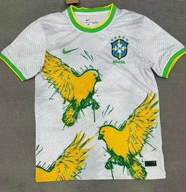 BRAZIL 2024 ALL THINGS 