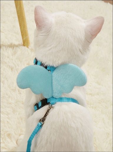 Pet Harness with Leash