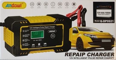 Andowl Q-DP9921 12V Intelligent Rapid Battery Charger