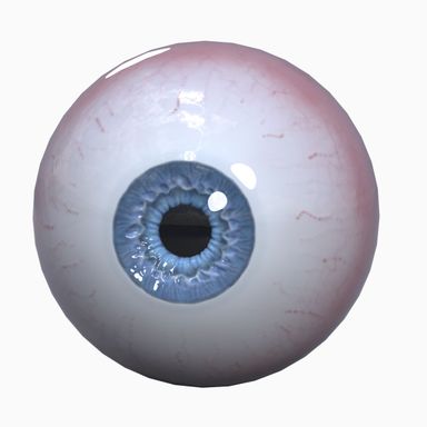 design model 3D eye bill 