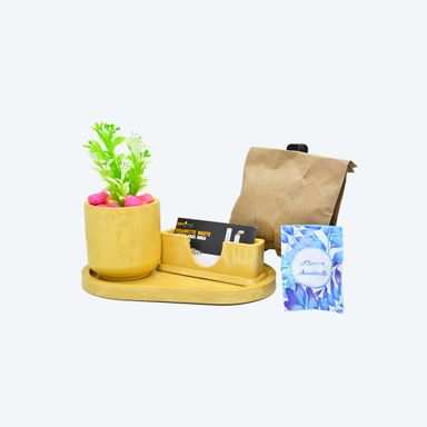 Flourish & Organize Kit [DIY Planter Kit (Oval) and Visiting Card Holder]