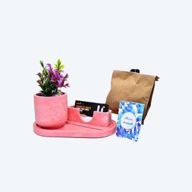 Flourish & Organize Kit [DIY Planter Kit (Oval) and Visiting Card Holder]