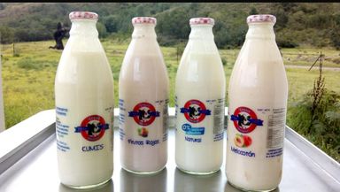 Botella 1 litro (kumis o yogurt)