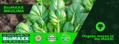 Biomaxx Mkulima Organic Foliar Fertilizer