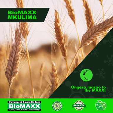 Biomaxx Mkulima Organic Foliar Fertilizer