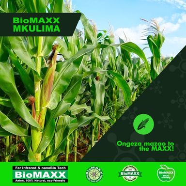 Biomaxx Mkulima Organic Foliar Fertilizer 