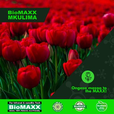 Biomaxx Mkulima Organic Foliar Fertilizer 