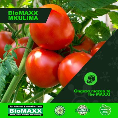 Biomaxx Mkulima Organic Foliar Fertilizer 