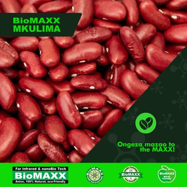 Biomaxx Mkulima Organic Foliar Fertilizer 