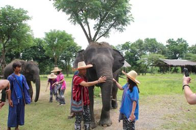 Half-day Bangkok Elephant Park 🐘 [adult]