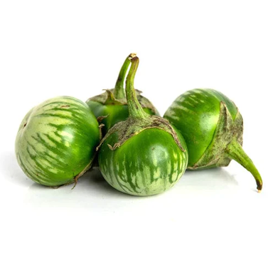 Anguivre / Green Eggplant