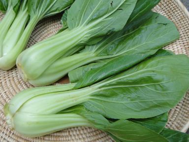 Brèdes Tom Pouce / Pak Choï / Bok Choy