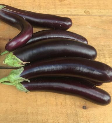 Bringelle / Brinjal