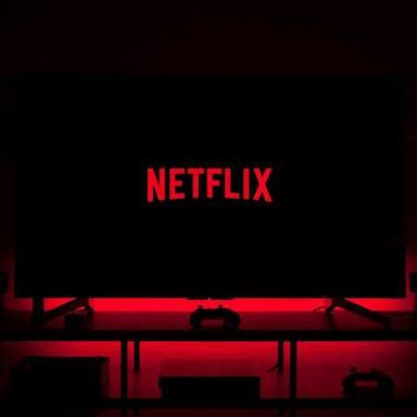 NETFLIX PREMIUM (SINGLE SCREEN)