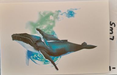 SM7 - Whale and Calf