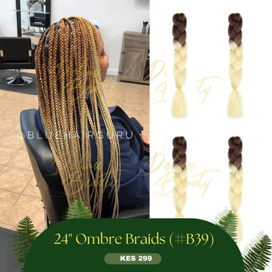 Ombre Braids