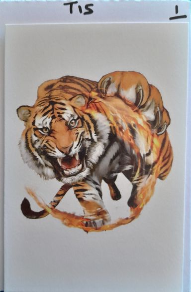 T15 - Tiger